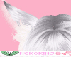 Fox Ear Silver
