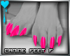 D~Canine Feet:Pink F