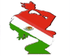 Lady Mexico Flag