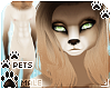 [Pets] Kimi | abs fur