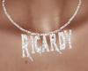 Ricardy SilverNecklace F