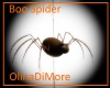 (OD) Boo Spider