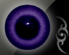 [XA] Indigo Eyes -F-