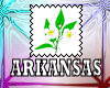 Arkansas State Flower