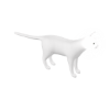 Venjii White Cat