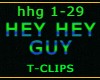 HEY HEY GUY