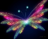 SWEET BUTTERFLY