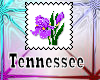 Tennessee State Flower