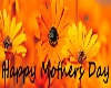 *114Happy Mothers Day