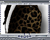 Cheetah!