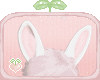 🌱 Little Bunny Ears