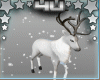 4u Reindeer With Snow