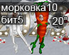 Carrot Morkovka