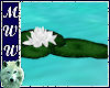 Floating Waterlily- Wht