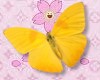**Yellow Butterfly