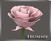 H, Valentines Red Rose