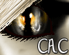 [C.A.C] GoldBot Fe Eyes