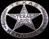 [CI]Texas Ranger TiePin1