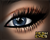 Sapphire | Mesh Contacts