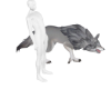 Matth WolfWalkWhite