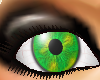 Green n Yellow Eyes