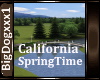 [BD]CaliforniaSpringTime