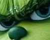 the grinch