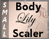 Body Scaler Lily S