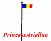 Romanian Flag Animated