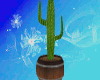 {TK} Country Cactus