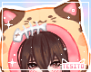 Kitty hood ♡