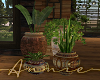Rustic Potted Plants