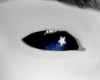 voidgaze