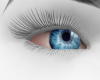 lELl Blue Eyes