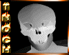 [T] Ghost Skull Head