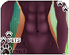 [Pets] Quin | abs kini