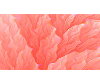 WALL CORAL V3
