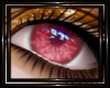 !T! Eyes | Nixie 1