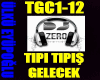 TIPIŞ TIPIŞ GELECEK