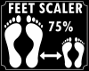 * Feet Scaler 75 %