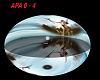 APACHE /APA0 -4