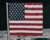 Apollo 11 U.S. Moon Flag