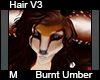 Burnt Umber Hair Male V3