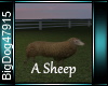 [BD]A Sheep