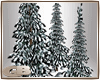 snowed pinetree X-mas