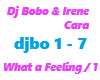 Dj Bobo /What a Feeling