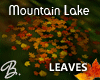 *B* Mountain Lake Leaves