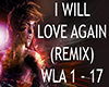 I Will Love Again (RMX)