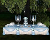 Wedding Buffet Blue