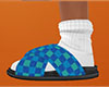 Teal Slides Plaid (F)